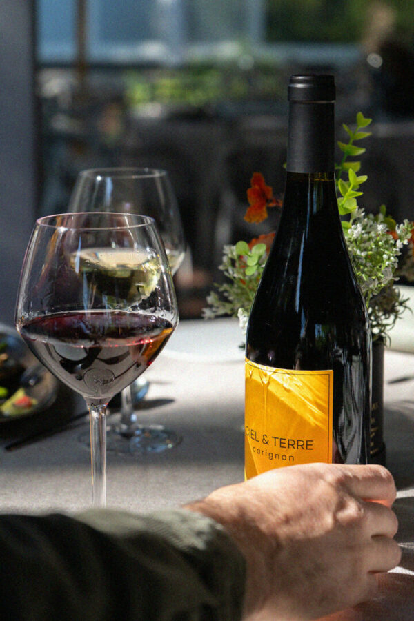 Ciel & Terre | 100% Carignan – Image 3
