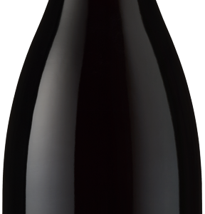 Beaune 1er Cru - Clos des mouches 2023 - DOmaine Berthelemot